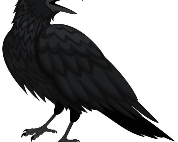 POET BILLY LAMONT To Perform “RAVEN 2: TALKING BACK TO THE RAVEN” On Popular New SUFFERING IN SUBURBIA video podcast Halloween Special Live – This Wednesday 10/29 @ Noon-1pm  EST