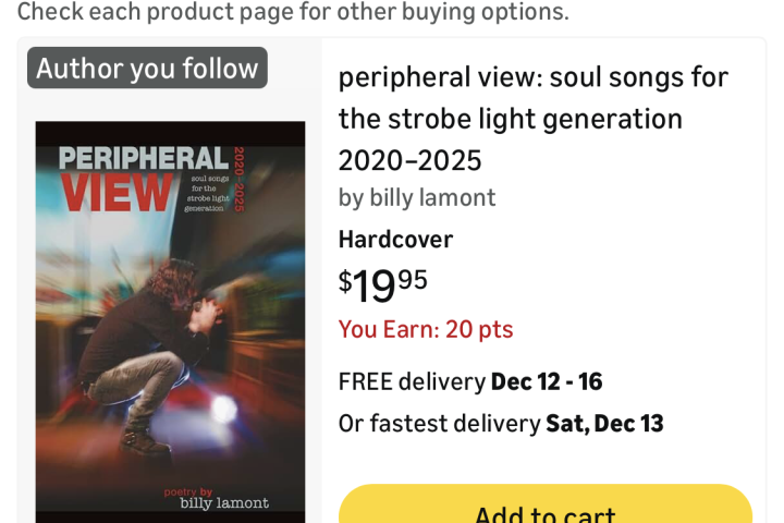 BILLY LAMONT’s NEW BOOK – PERIPHERAL VIEW: SOUL SONGS FOR THE STROBE LIGHT GENERATION 2020-2025 – Published & Available For The Holidays! :)!
